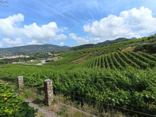 Riva Trigoso Appartement | Al VIgneto