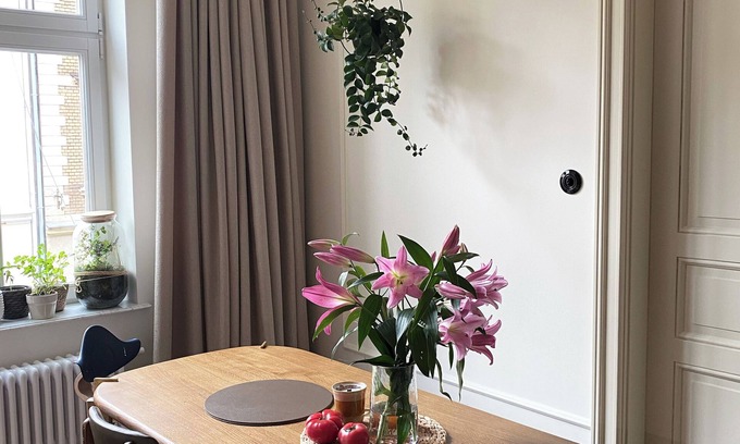 Zaspa Appartement | Aldony 4 Old Wrzeszcz Apartment in Delightful Gdańsk