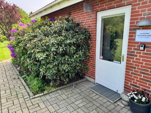 Sunds Appartement | Alhedebo