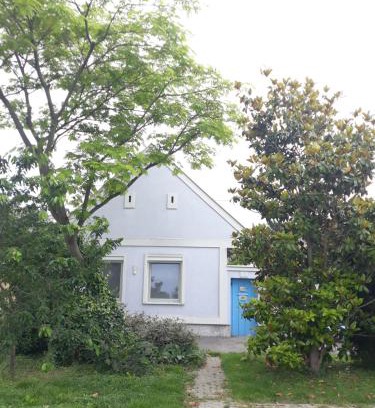 Kittsee Maison | Alla