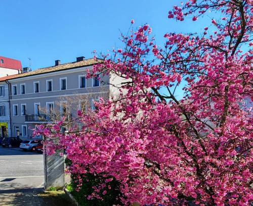 Ronchi dei Legionari Maison | Alloggi Tosca Airport Lodges