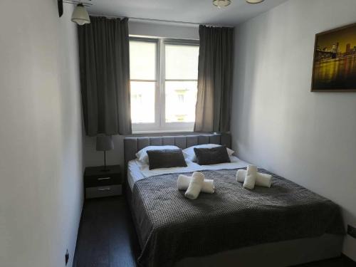 Starachowice Appartement | Alma Apartments Starachowice