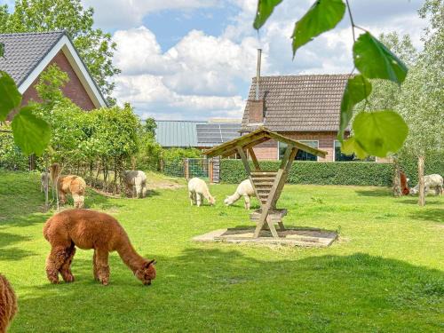 Vorstenbosch Maison | Alpacafarm Vorstenbosch