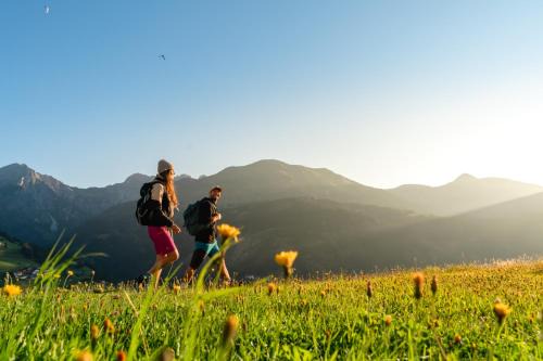 Lesachtal Maison | Alpenhotel Wanderniki
