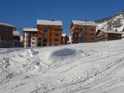 Riederalp Appartement | Alpenresort B22
