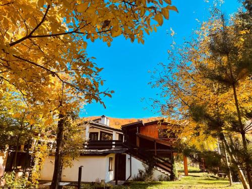 Recea Maison | Alpinlife