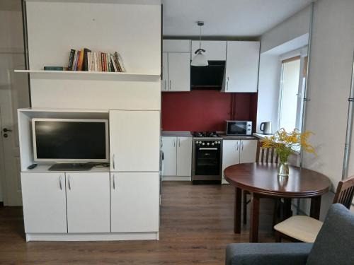 Alytus Appartement | Alytus Studio 45