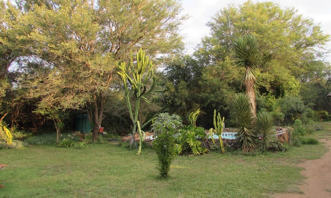 Thorny Bush Game Reserve Maison | Amanzimlotzi Riverside Bush Camp dans le parc Kruger, Limpopo