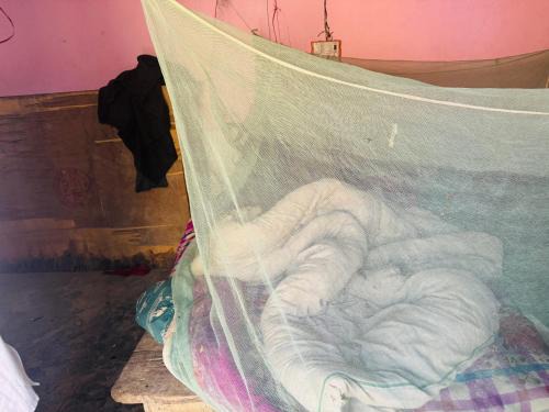 Maharajganj Maison | Amaranth Homestay