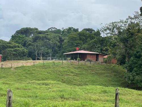 Chilamate Appartement | Amazilia