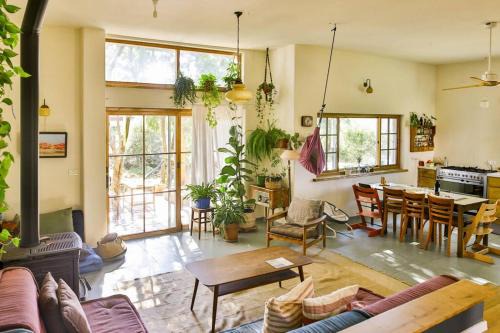 Tsiv'on Maison | Amazing Hemp house in the middle of an oak forest