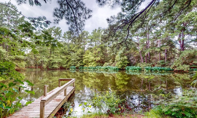 Bellville Maison | Amazing Home & Guest House on 14 Acres - Vineyards, Pond & Trails