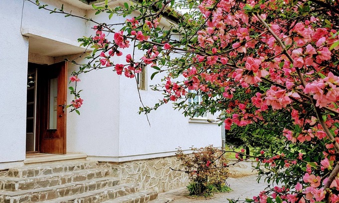 Three Oaks Maison | Superbe maison avec beau jardin, 5 chambres, terrasse, dans le centre ville