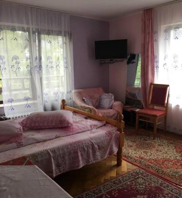 Cioplea Maison | Amazing view Bucegi Montaines