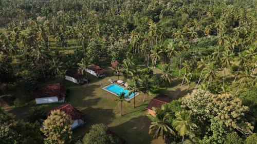 Divulapitiya Hôtel | Ambarella Lodge - Katunayake