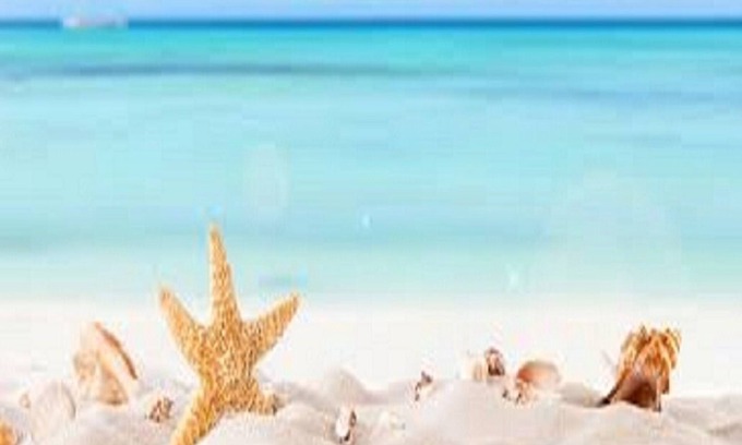 Marina di Mancaversa Appartement | Appartement en améthyste près de Gallipoli