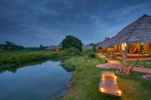 Dambulla Cabine | Amuna Ayurveda and Wellness Retreat