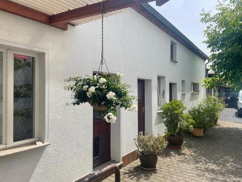 Finsterwalde Appartement | An der Bürgeheide