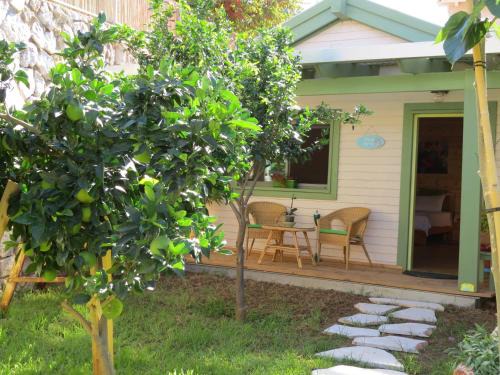 Kefar Hananya Cabine | Anat's Cabin הצימר של ענת