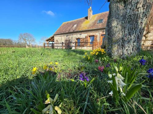 Saint-Michel-Tubœuf Maison | Ancien gîte de chasse, calme & nature