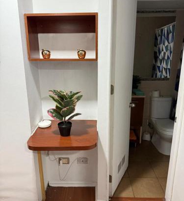Downtown Santiago Appartement | Andina suite 7