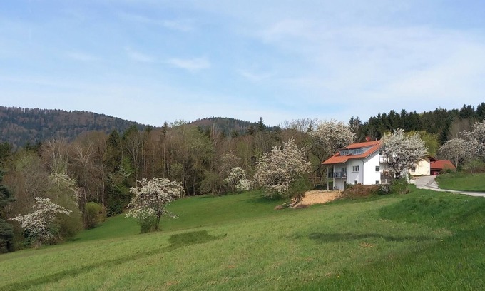 Lalling Appartement | Ankommen, Entspannen & Genießen - Gemütliches Apartment mit Traumhaftem Ausblick