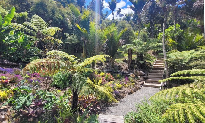 Whitianga Lit Et Petit-Déjeuner | Annabells Bed and Breakfast