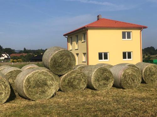 Klopein am Klopeiner See Appartement | Apartment Panoramablick