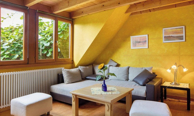 Feldberg Appartement | Appartement "Fewo 1" avec Wi-Fi