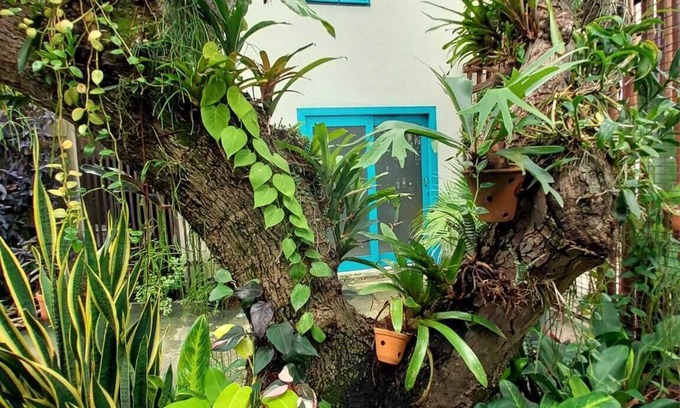 Ponta Negra Appartement | Apartamento Completo Standard Para até 3 Pessoas, Praia de Ponta Negra, Natal