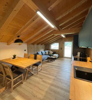 Laengenfeld Appartement | Apart Summit