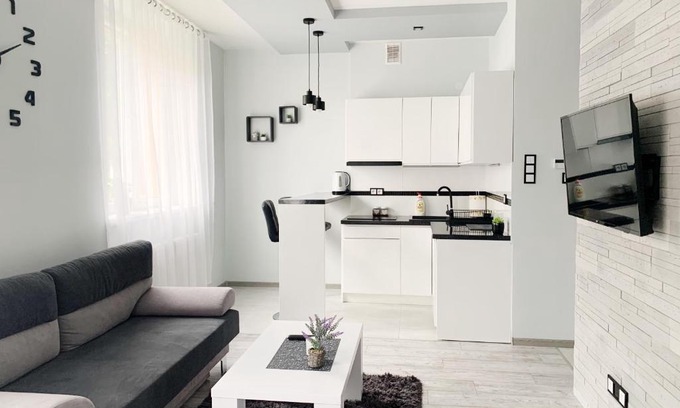 Lancut Appartement | Apartament Chyba Śnisz Łańcut