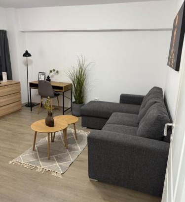 Roman Appartement | Apartament cu o cameră