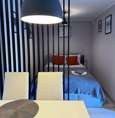 Boguszow-Gorce Appartement | Apartament Dzikowiec