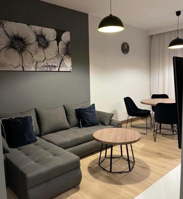 Pleszew Appartement | Apartament HALLERA