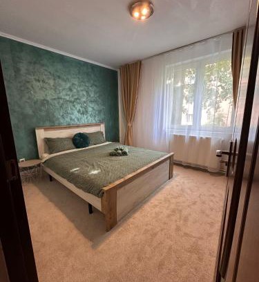 Petrosani Appartement | Apartament Iasmina