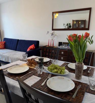 Czeladz Appartement | Apartament -Jak w domu- Czeladź 60m2 Centrum Katowic 10km
