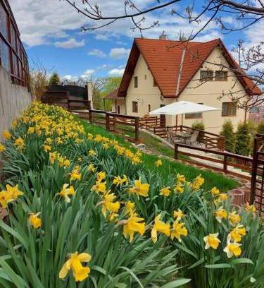 Brasov Appartement | Apartament Matei