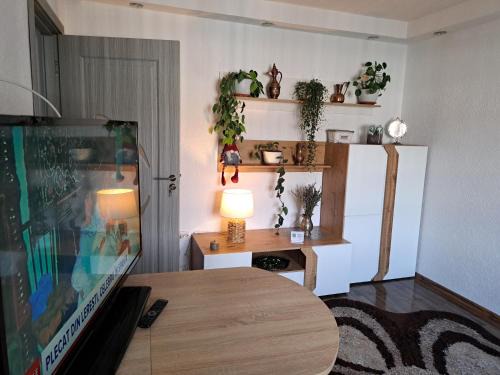 Medias Appartement | Apartament Medias Metanului