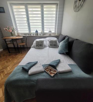 Sandomierz Appartement | Apartament Park Saski