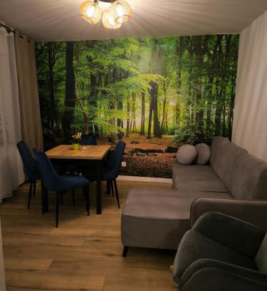 Radkow Appartement | Apartament Przy Rynku w Radkowie