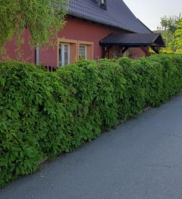Jezow Sudecki Appartement | Apartament u Janiny