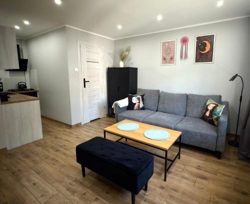 Jastrzebie-Zdroj Appartement | Apartament w Centrum