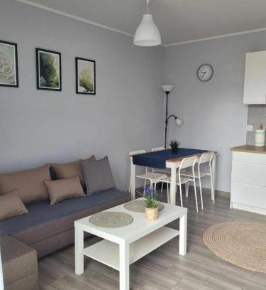 Wejherowo Appartement | Apartament Wałowa 2