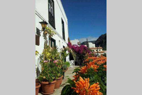La Calera Appartement | Apartamento Askanova
