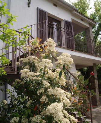 Banyoles Appartement | Apartamento con encanto l'Estany 2