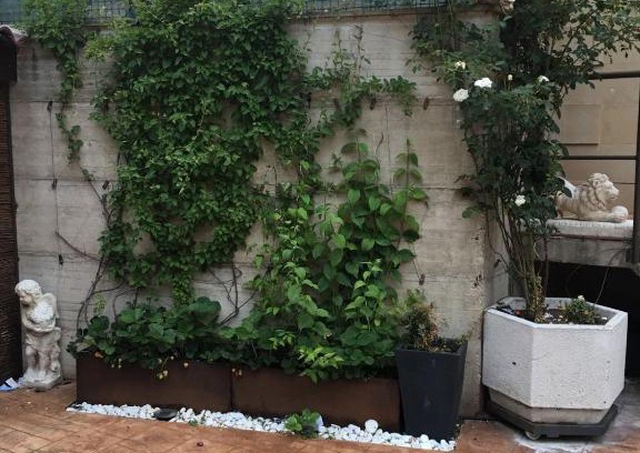 Ezcaray Appartement | Apartamento con jardin