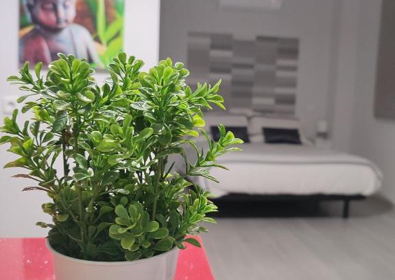 Fuencarral Appartement | Apartamento Madrid Norte