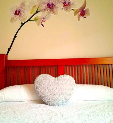 Old Town Appartement | Apartamento turístico Amantes