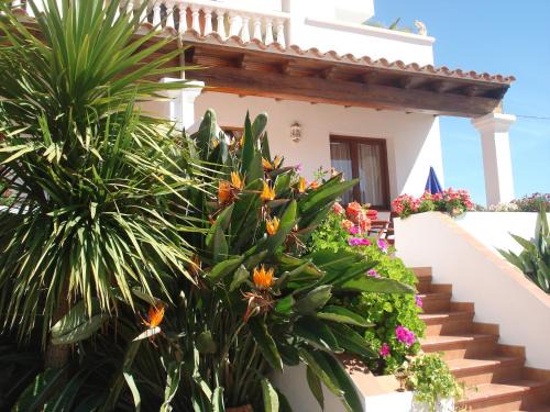 Es Figueral Beach Appartement | Apartamentos Ferrer